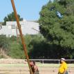 Caber Toss